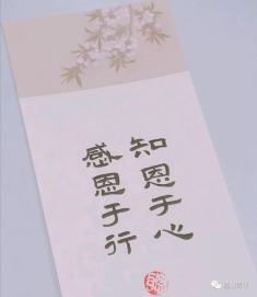 640.webp (7)